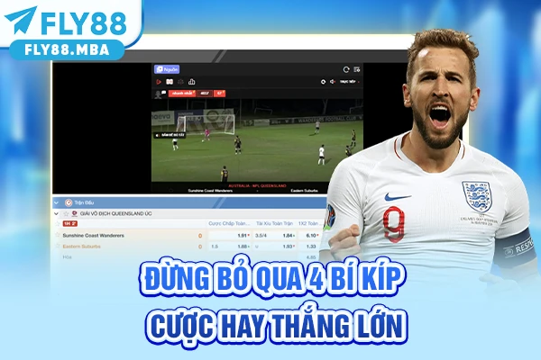 Đừng bỏ qua 4 bí kíp cược hay thắng lớn