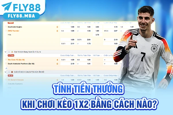 Tính tiền thưởng khi chơi kèo 1x2 bằng cách nào?