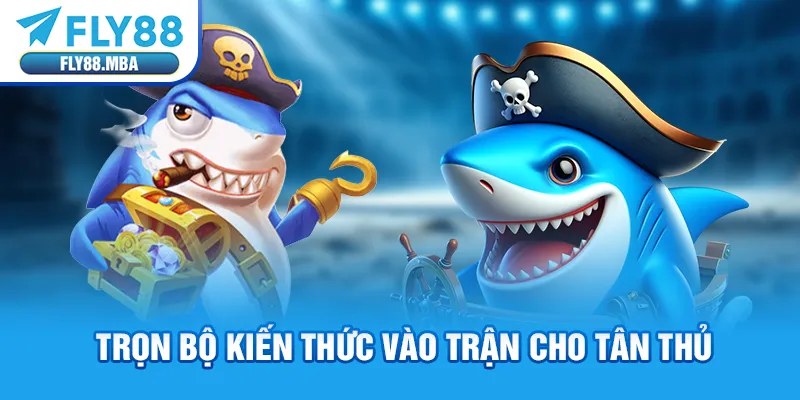 Trọn bộ kiến thức vào trận cho tân thủ